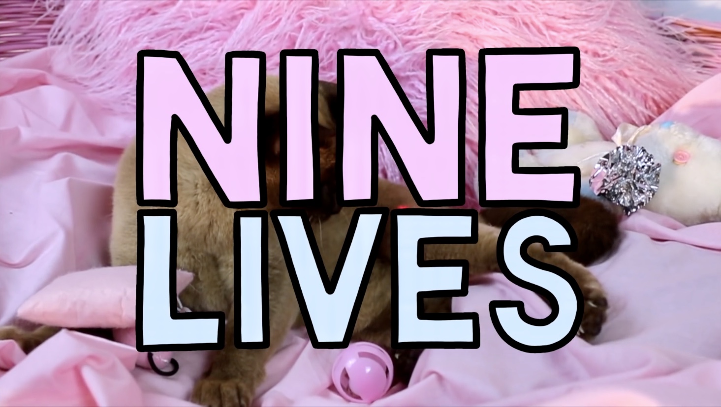 Scaredy Kat: Nine Lives (ft. Pussy Kat)